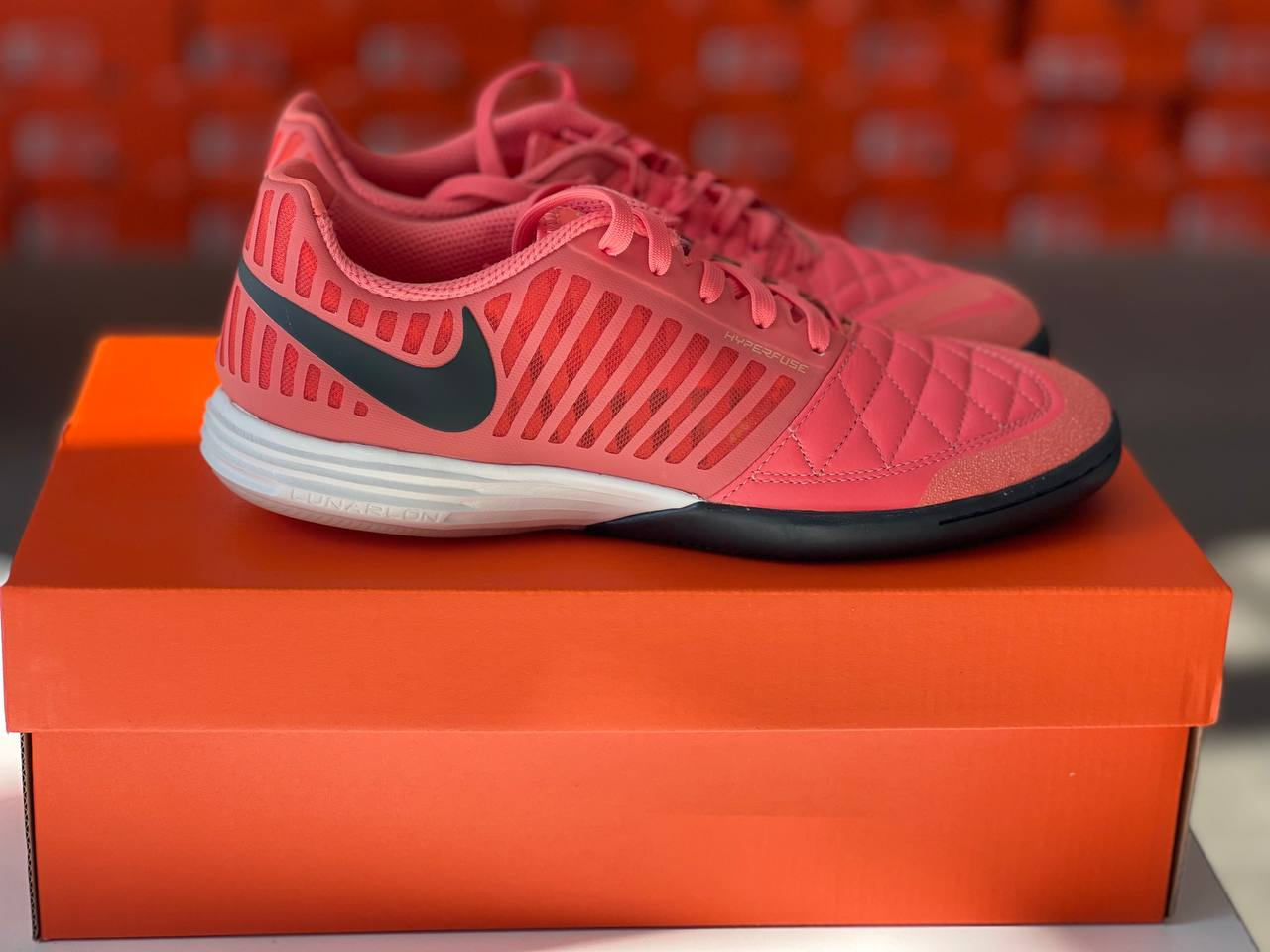 Lunar Gato II