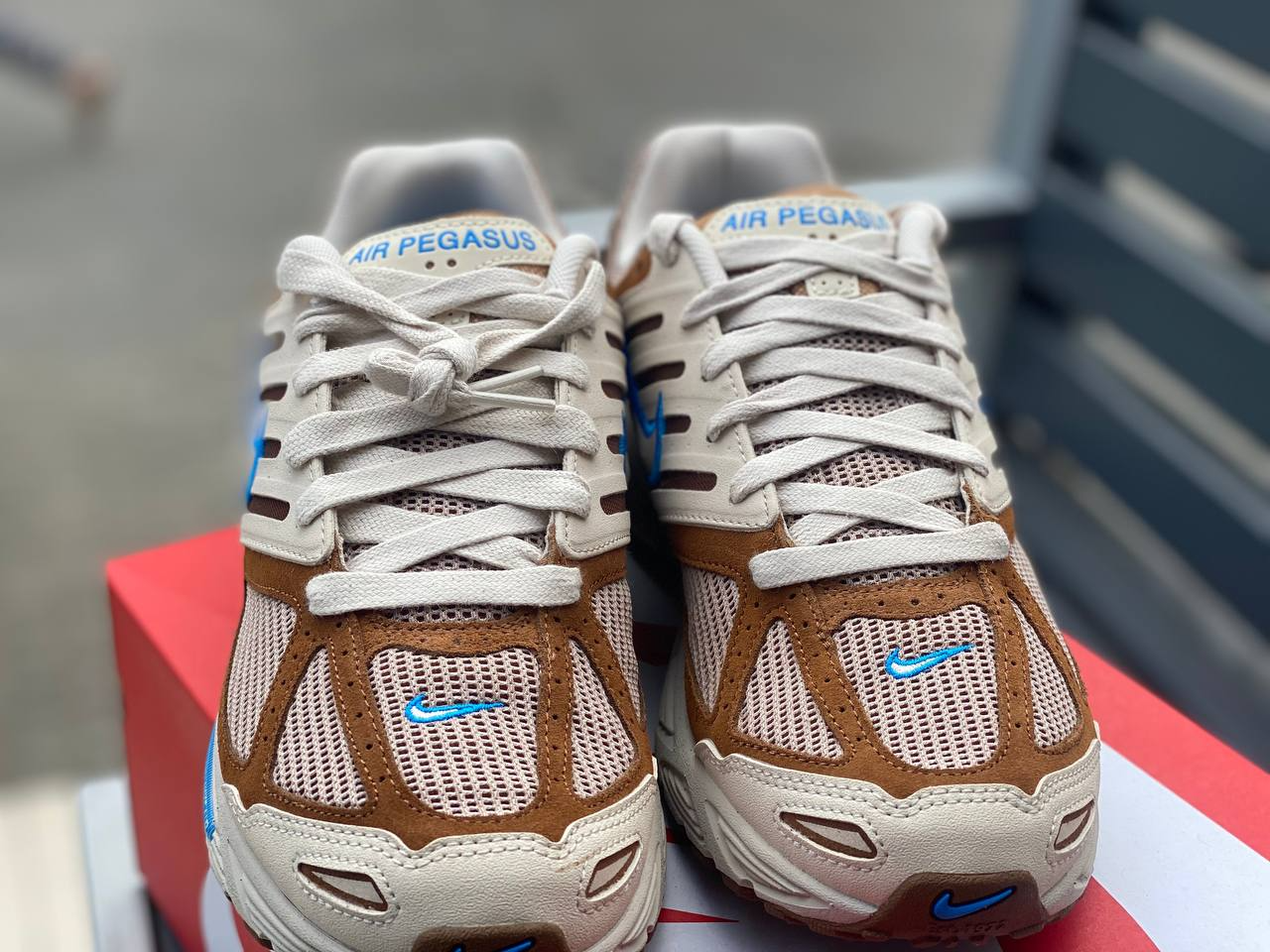 Nike Pegasus