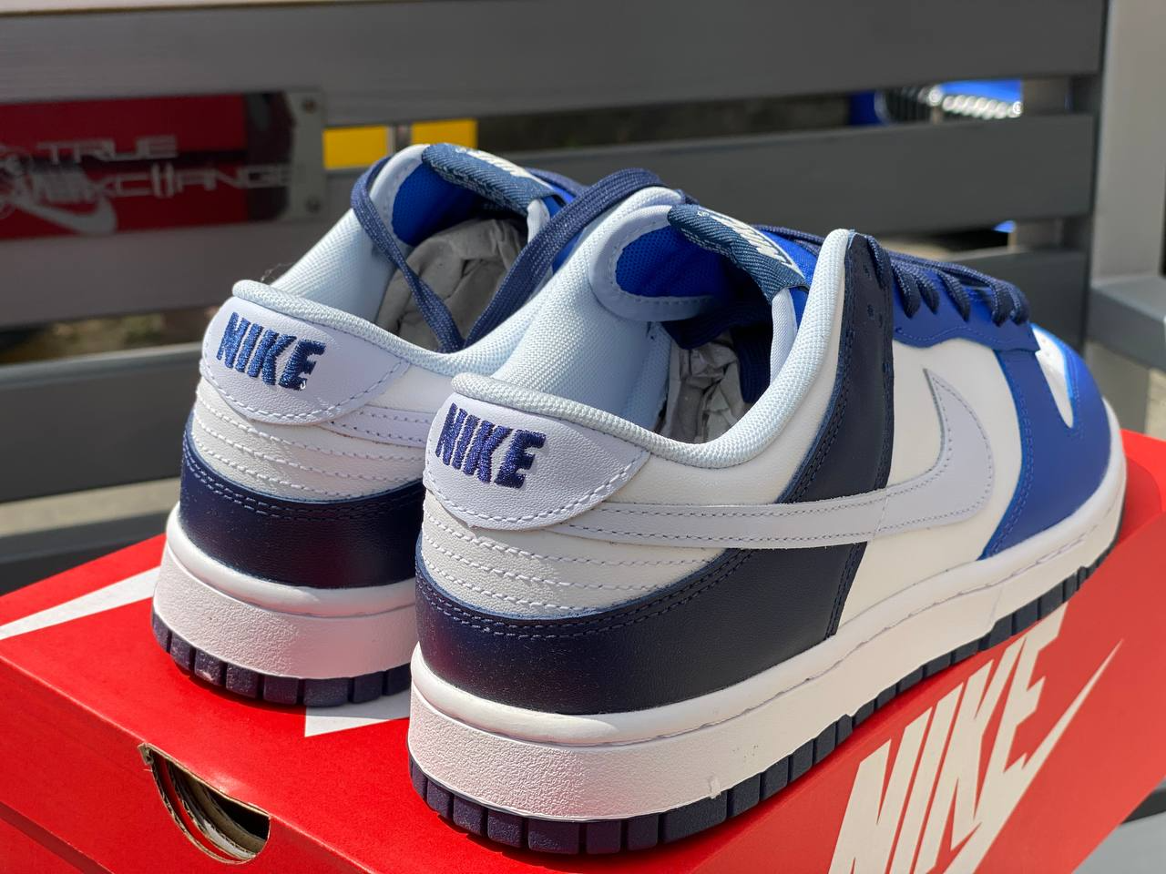 NK Dunk Low