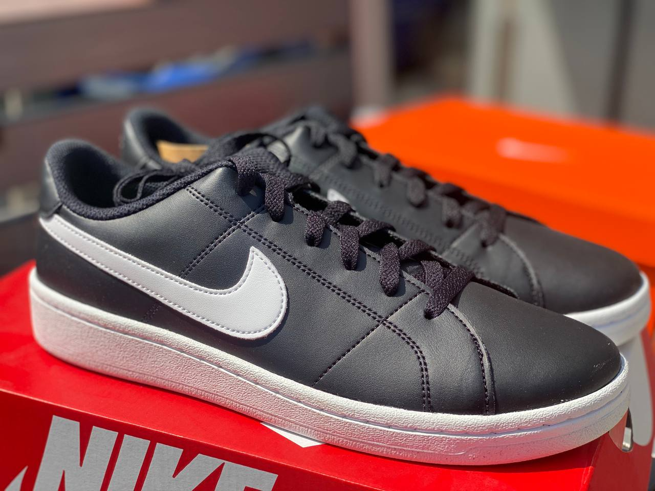 NK Court Royale 2