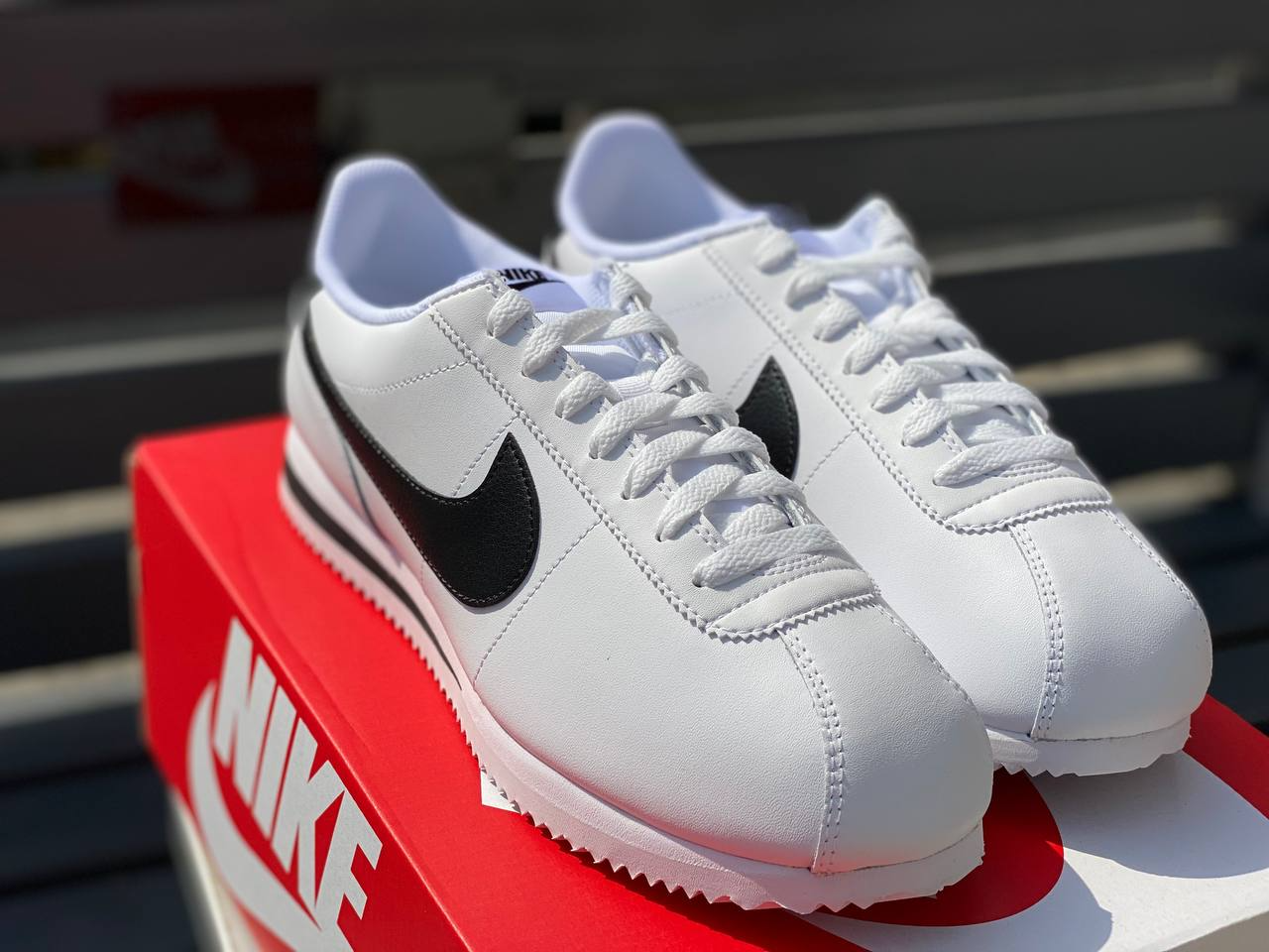 NK Cortez
