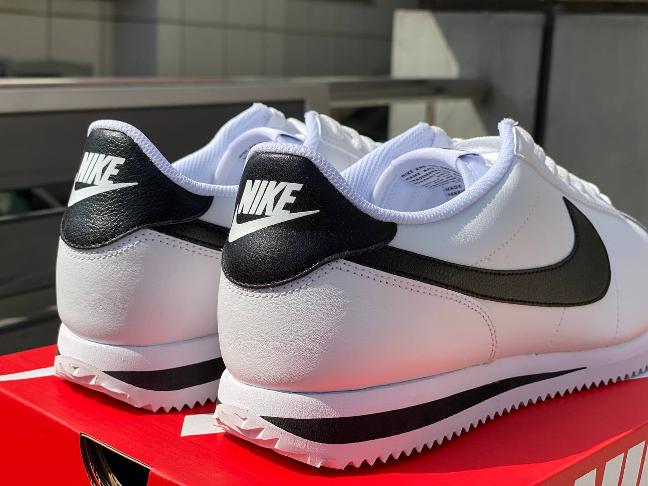 NK Cortez