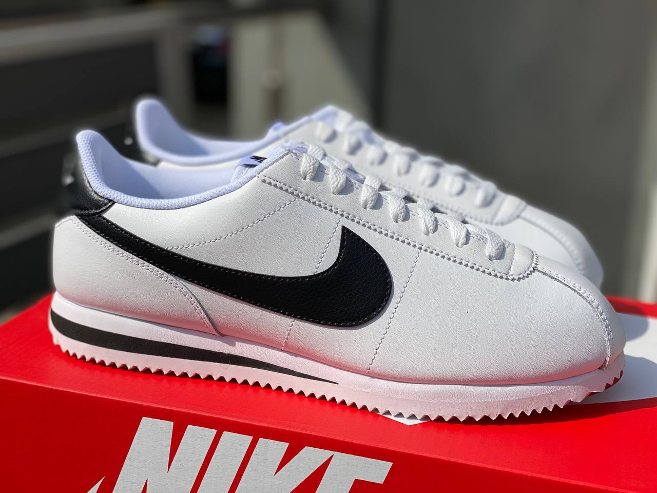 NK Cortez