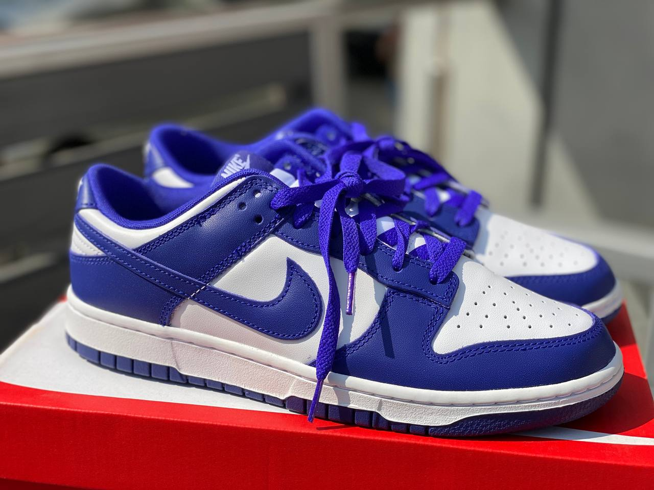 NK Dunk Low