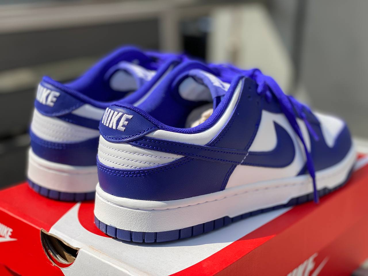 NK Dunk Low
