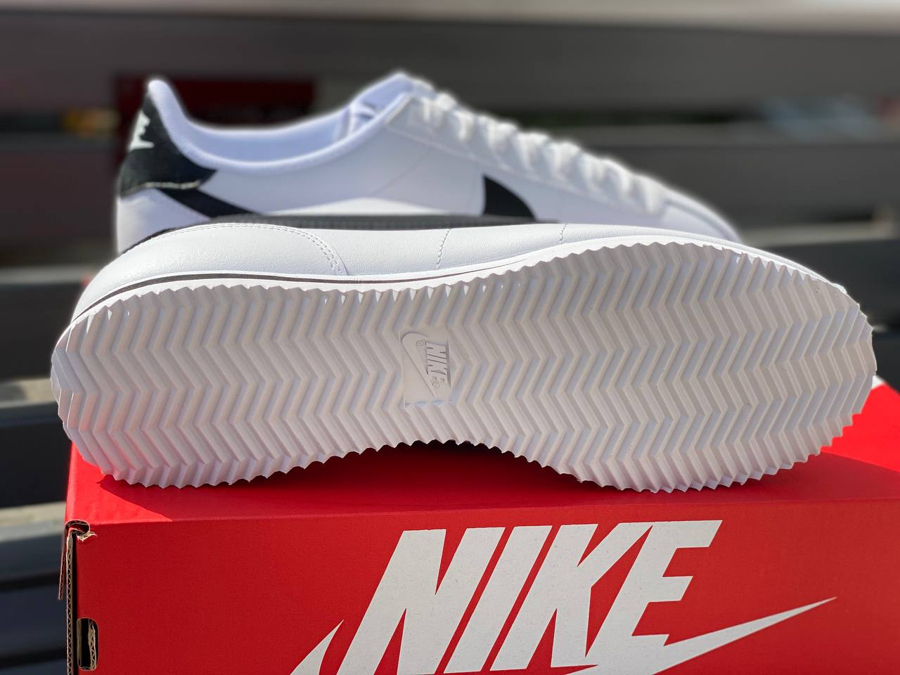 NK Cortez