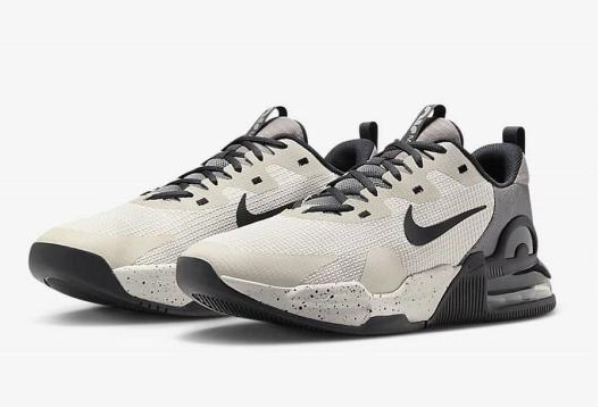 Alpha Trainer 5