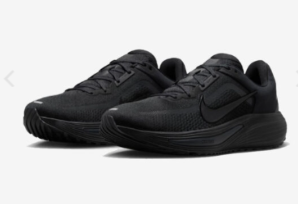 Nike Quest 7